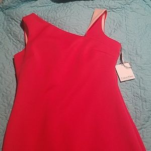 Calvin Klein Dress